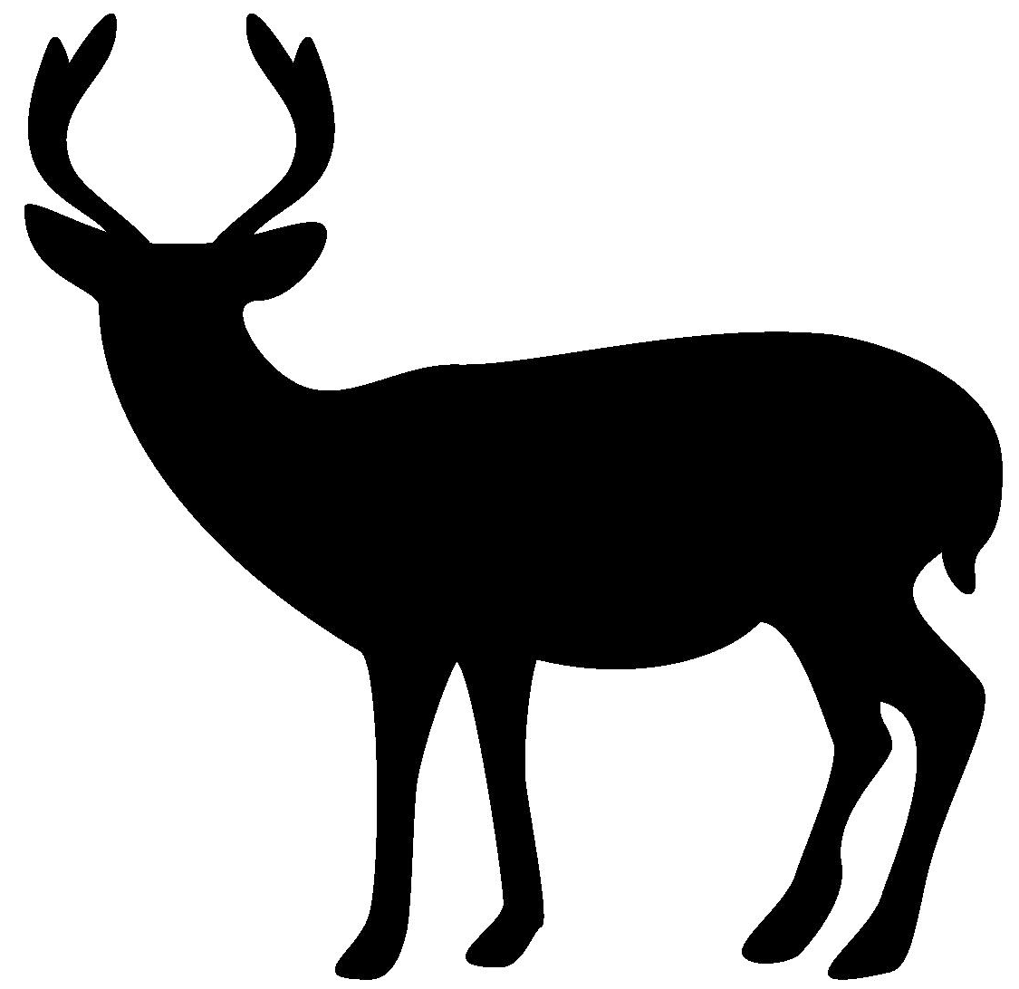 牡鹿